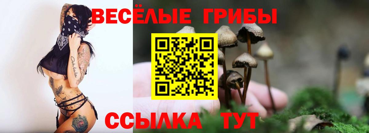Псилоцибиновые грибы Cubensis Топки